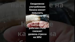 Антидепрессанты Банан и Кактус #motivation #fruit #finland #shorts