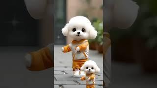 Cute puppy beautiful dance #funny #comedy #0505