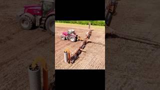 Massey Ferguson tractor and big Brock rolls