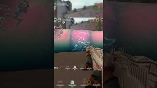 flying RAZE 137
