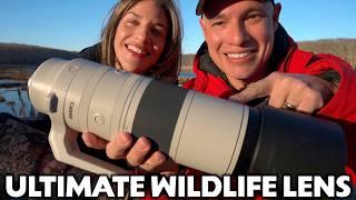 Why the Canon 200-800mm is the BEST lens for WILDLIFE Photography