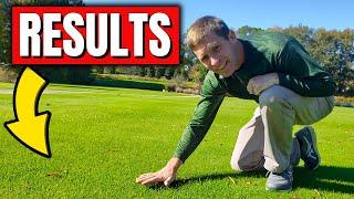 Lawn Care Myths Debunked: Science vs Old Wives Tales