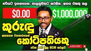 Build a Million-Dollar Ceylon Cinnamon Business | කුරුඳු | Beginners Guide 2025 @BusinessAdvisorLK