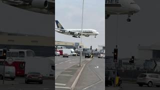 Singapore Airlines Airbus A380 ️ #airbus #aviation #planespotting