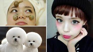 8 More Weird Asian Trends That Might Surprise You