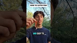 How To Catch a Fish! #fishing #fish #howto #trending #shorts #shorts feed #education #learning