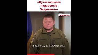 «Путину нечего сказать, и он испугался подарков Залужного» – Матвей Ганапольский