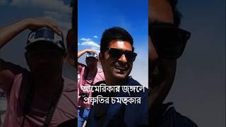 আমেরিকার জঙ্গলে বাঙালি #bangla #আমেরিকায়বাঙালি #bengalivlog #bengali #roadtrip