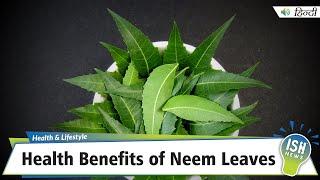 Health Benefits of Neem Leaves | ISH News