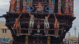 LIVE Nellaiappar Temple Car festival Tirunelveli நெல்லையப்பர் கோவில் நேர்காணல்