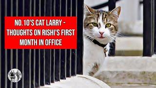 No.10's Downing Street's Cat Larry thoughts on Rishi's first month in office