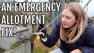 AN ALLOTMENT EMERGENCY! / ALLOTMENT GARDENING UK