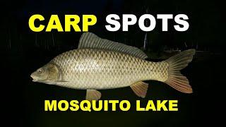 Russian Fishing 4 CARP SPOTS Mosquito Lake