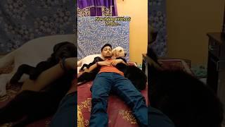 My Journey 2019 To 2025 .. #dog #labrador #shorts #youtubeshorts #ytshorts #pets