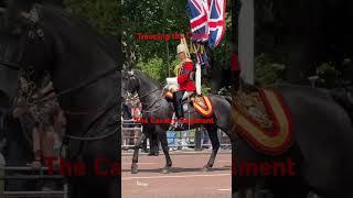 Cavalry Regiment. Trooping the Colour #london #history #buckinghampalace #horse #royalguards