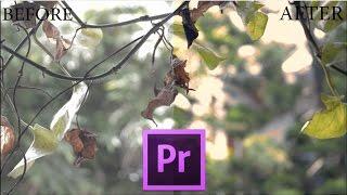 How To Color Correcting and Color Grading in Adobe Premiere Pro Using Three Way Color Corrector