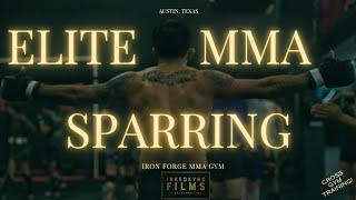 INCREDIBLE! ELITE MMA SPARRING! | IRON FORGE GYM #boxing  #muaythai #mma #sparring #kickboxing #bjj