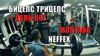 Тренировка в фитнес клубе Мустанг ДИС. NEFFEX.