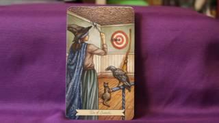 The Every Day Witch Tarot Full Flip Through