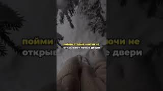 ProTon. Старт нового проекта  на  криптовалюте  Ton.