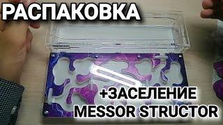 Распаковка и обзор фермы от Top Ant+ заселение Messor structor. #МуравьиЯрославль