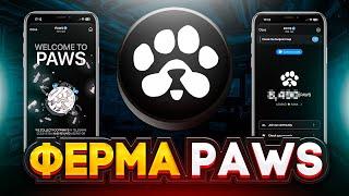 ПОЛНЫЙ ГАЙД ПО СОЗДАНИЮ ФЕРМЫ PAWS! СКОЛЬКО ЗАРАБОТАЕМ?