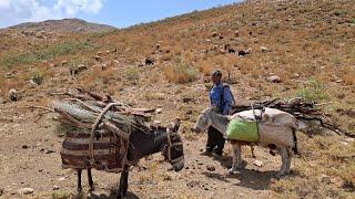 An exciting trip to the mountains: the story of bringing fodder in the difficult paths of Iran