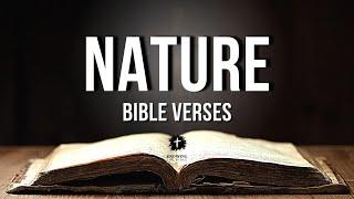 Bible Verses About Nature [KJV] | Nature In The Bible Explained