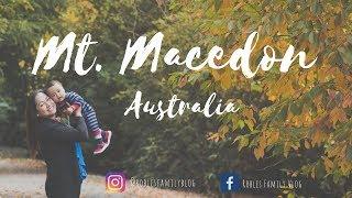 BUHAY SA AUSTRALIA: MOUNT MACEDON AUSTRALIA ADVENTURE | VIEW FROM THE TOP | FAMILY VLOG