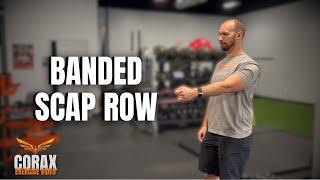 Corax Banded Scap Row