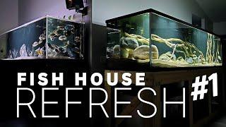 A Week in Review, Life in My FISH HOUSE