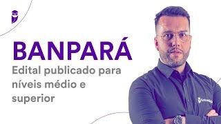 Concurso BANPARÁ: Edital publicado para níveis médio e superior