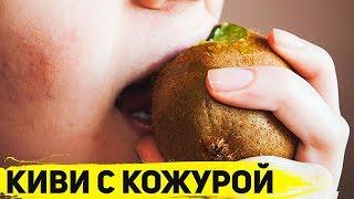 ЗАЧЕМ ЕСТЬ КИВИ С КОЖУРОЙ? Чем полезен киви