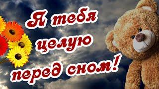 Перед сном тебя целую! Для моей Обожульки! Доброй ночи!