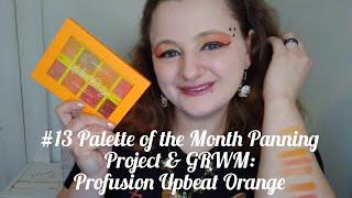 #13 Palette of the Month Panning Project & GRWM: Profusion Upbeat Orange 8 Shade Palette - Nov. 2023