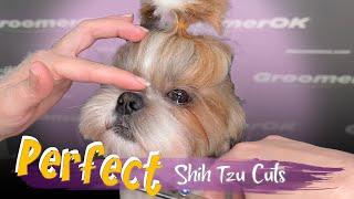 Grooming a Shih Tzu | Step-by-Step Guide for Perfect Shih Tzu Haircuts | Transform Your Dog Today