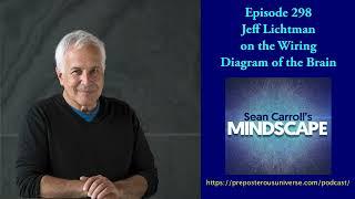 Mindscape 298 | Jeff Lichtman on the Wiring Diagram of the Brain