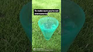 Measure your rainfall and irrigation by using a simple rain gauge.