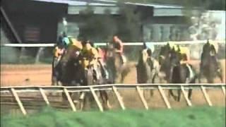 1994 Oaklawn Park Handicap - The Wicked North