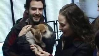 JCC Honors Helping Hounds Dog Rescue