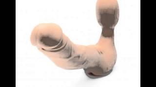 Tantus Realdoe Feeldoe Strapless Strap ons