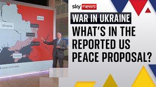 Ukraine war: Details emerge on reported US peace proposal
