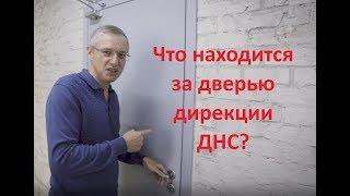 Как устроена центральная дирекция Компании ДНС