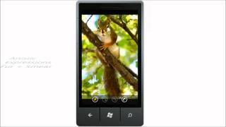 Fantasia Painter for Windows Phone 7 Intro (HD)