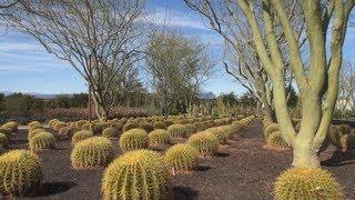 In the garden...Sunnylands Center & Gardens in Rancho Mirage, California