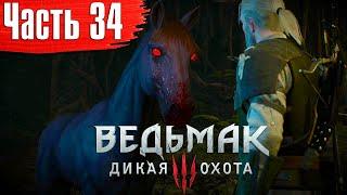 Ведьмак 3: Дикая Охота Прохождение Часть 34 "Узы крови; Пропавший патруль, Шепчущий холм"