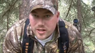 Self Filmed Canada Black Bear Hunt | Big Bidness Outdoors