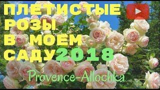 ФРАНЦИЯ/ПРОВАНС/ПЛЕТИСТЫЕ РОЗЫ/Мой САД 2018/VLOG provence-allochka