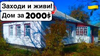  Заходи и живи! Дом в селе за 2000$ Продажа недвижимости за копейки! Всё есть Уютное тихое село!