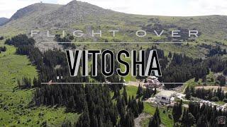 Flight over Vitosha // Полёт над Витошей (07/07/19)